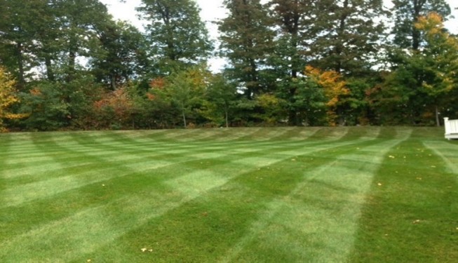 Lawn Patterns Millbury