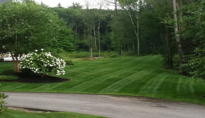 Lawn and Garden Care